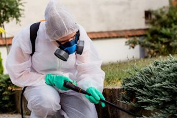 Empresa dedetizadora na zona leste de são paulo. Guia de empresas e serviços Empresa dedetizadora na zona leste de são paulo. Guia de empresas e serviços